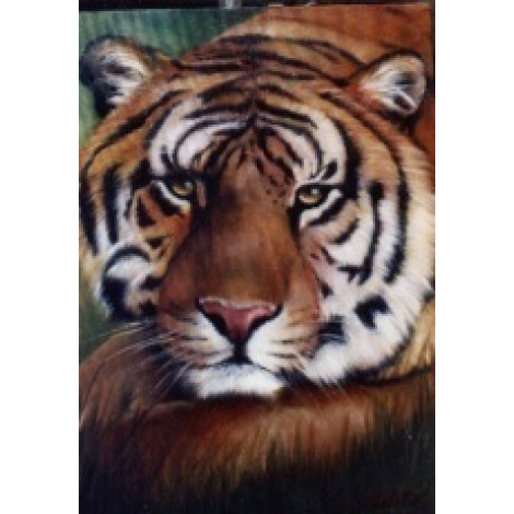Bob Ross How-To Painting Packet Wildlife Tiger
