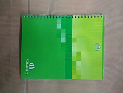 Chatelles Τετράδιο Καλλιγραφίας Σπιράλ σε 4 αποχρώσεις 17x22εκ. 100φ. 