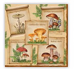 Χαρτοπετσέτα 