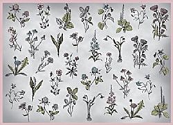 Χαρτί Ντεκουπάζ 25x35εκ. 17γρ.