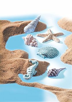 Fimo καλούπι Κοχύλια της θάλασσας