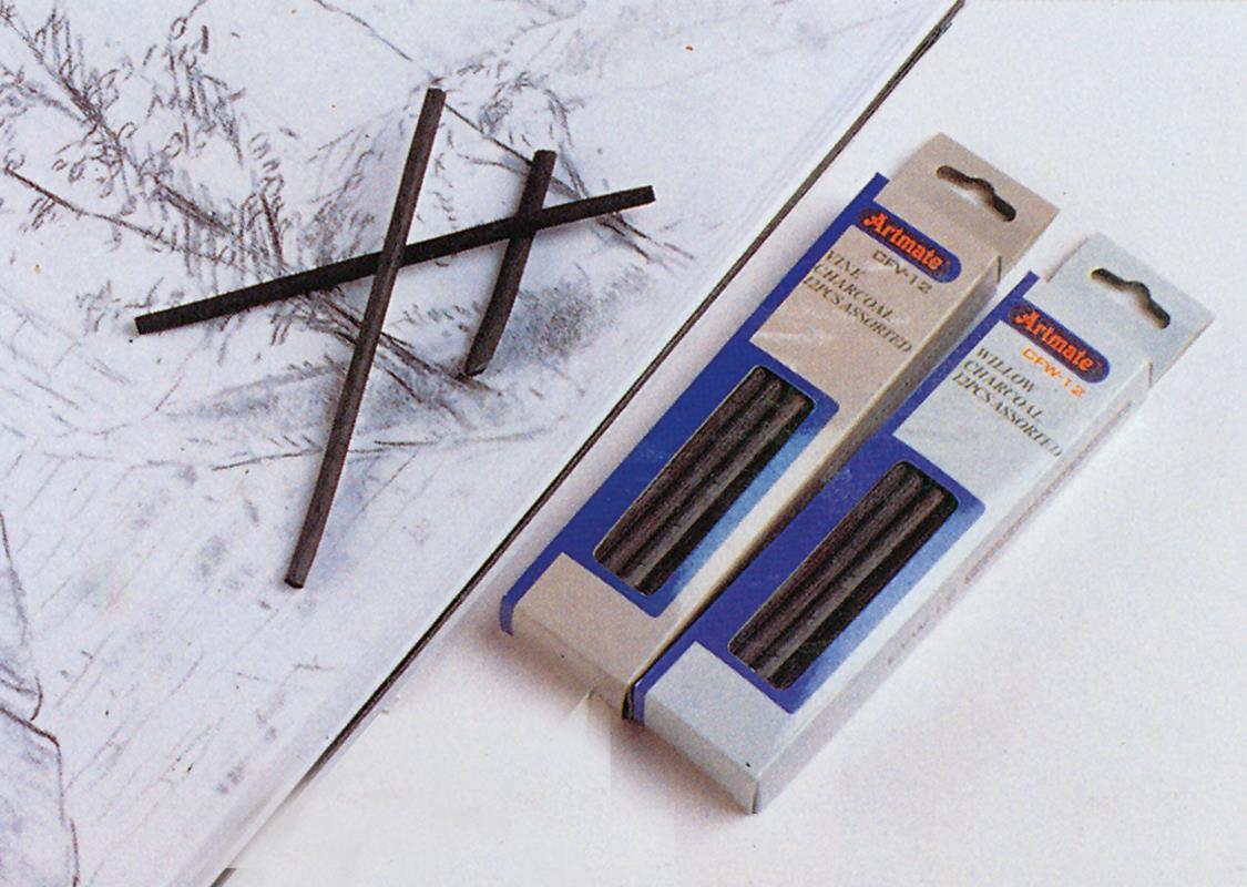 Κάρβουνο ζωγραφικής επαγγελματικό σετ 12τεμ.