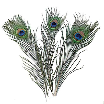 Efco φτερά παγωνιού