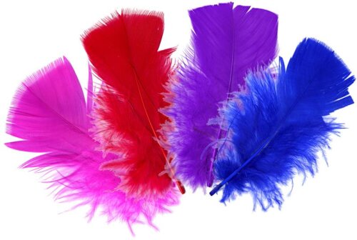 Meyco Puten-Mollenfedern πούπουλα σετ